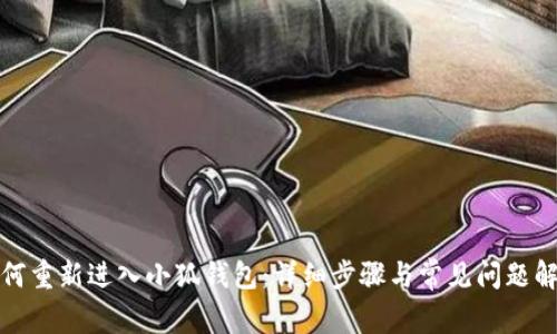 如何重新进入小狐钱包：详细步骤与常见问题解答