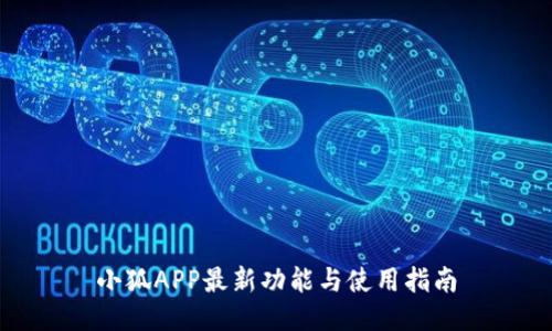 小狐APP最新功能与使用指南